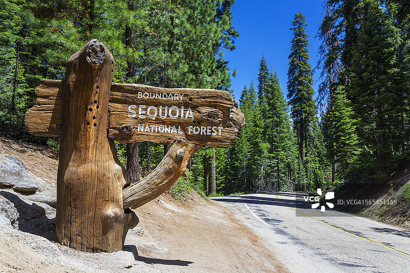 加利福尼亚州红杉国家公园图片素材