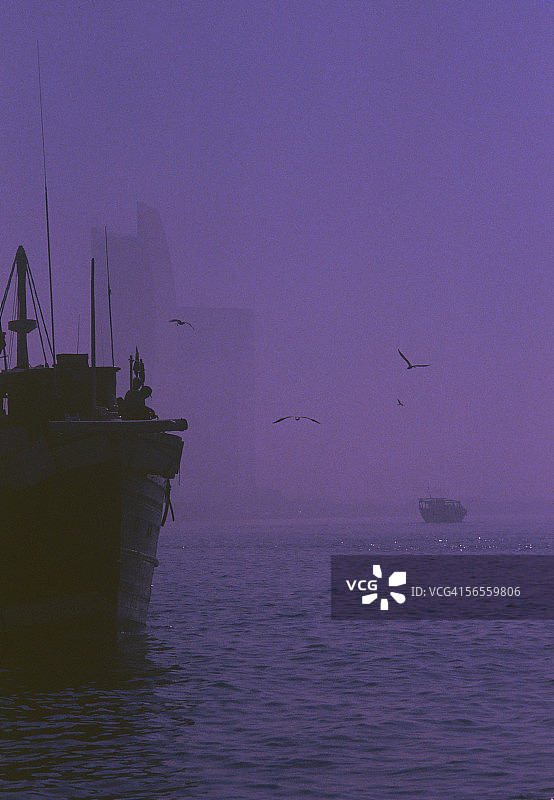 黄昏时分，鸟儿在船只附近飞翔图片素材