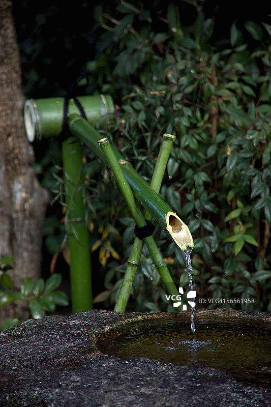 花园里的水盆图片素材