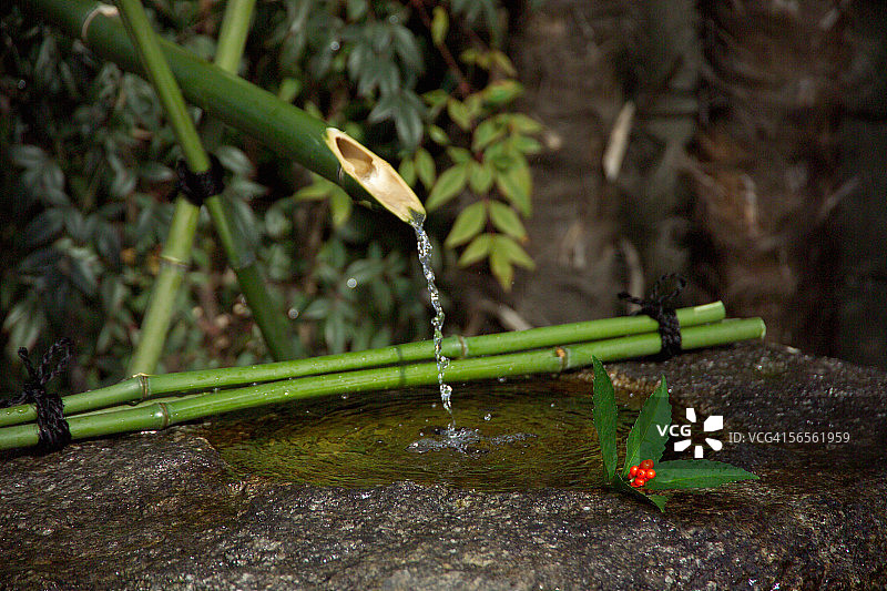 花园里的水盆图片素材
