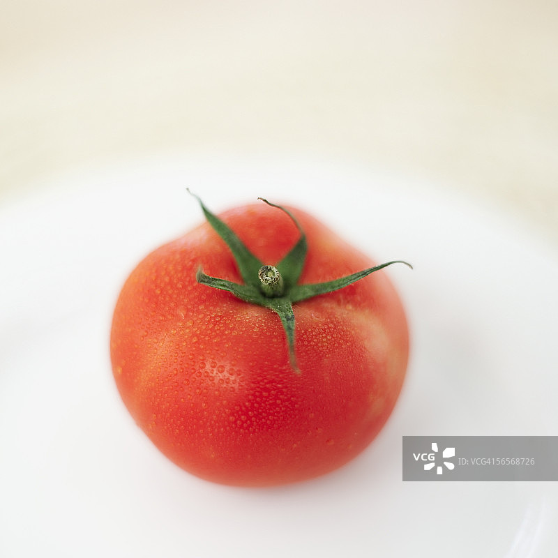 盘中番茄特写图片素材