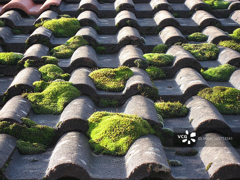 法国弗勒里长满青苔的屋顶瓦片图片素材