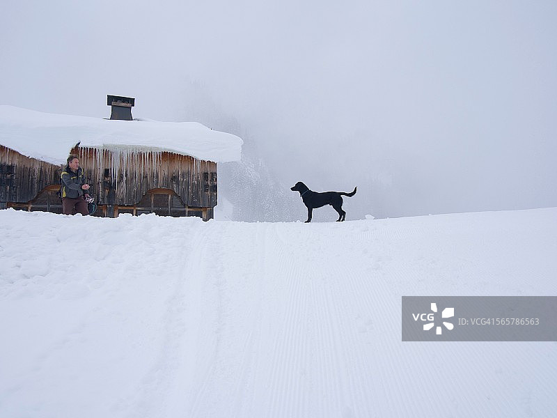 在白雪皑皑的风景中的狗，法国弗莱恩图片素材