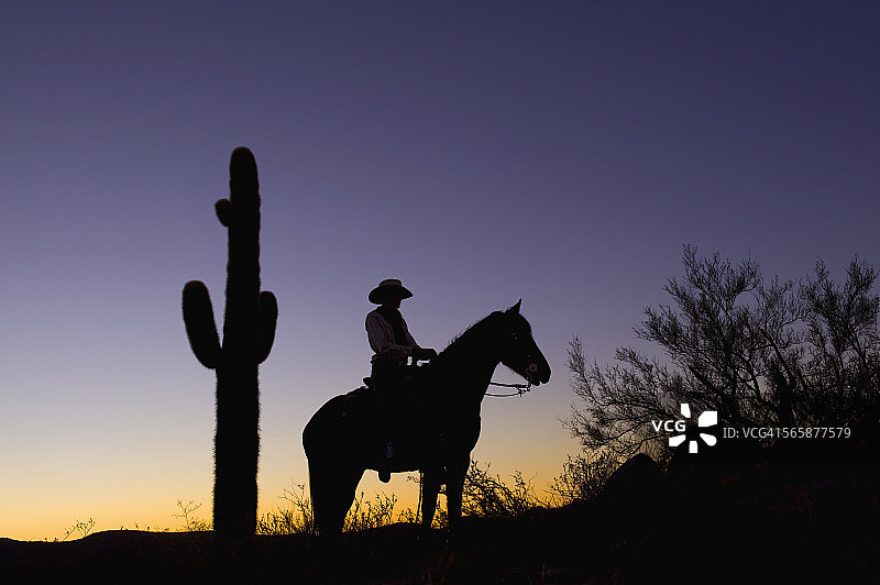 剪影：白人牧场主骑马和沙漠中的仙人掌图片素材
