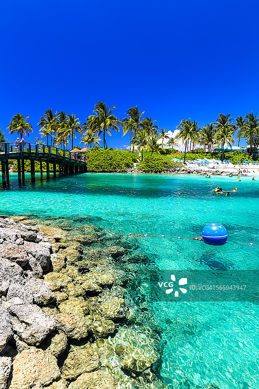 巴哈马拿骚的翠绿田园海滩图片素材