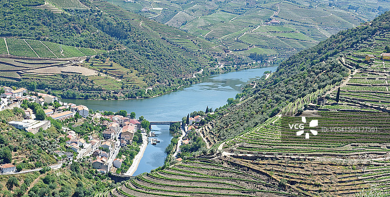 杜罗河谷和葡萄园图片素材