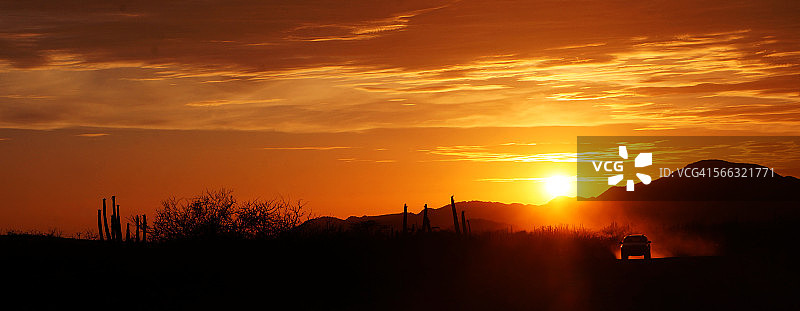 索诺兰沙漠的日落图片素材