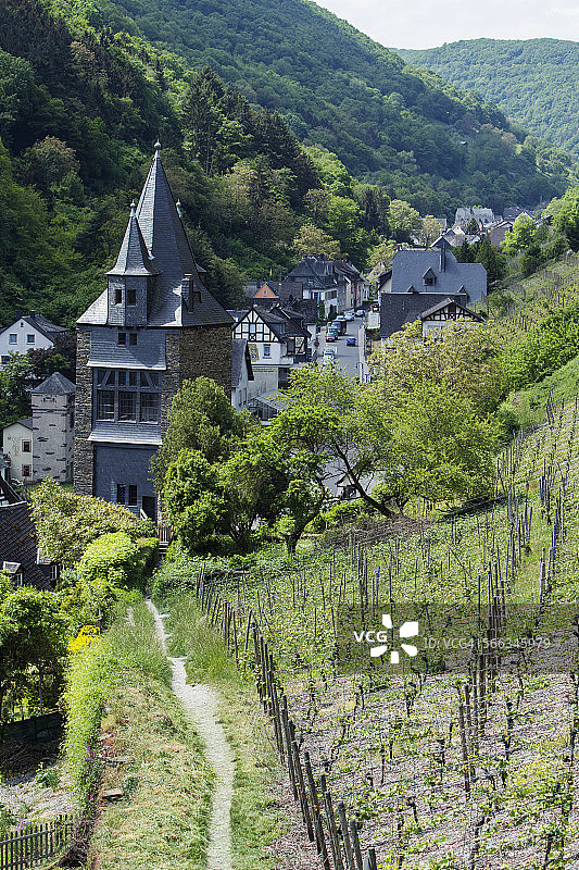 莱茵河谷图片素材