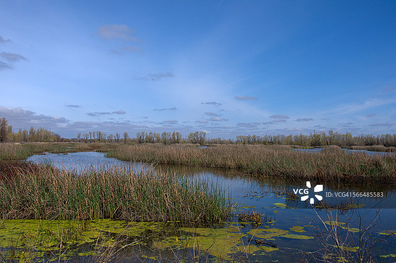 小干溪沿岸美丽的春季色彩图片素材