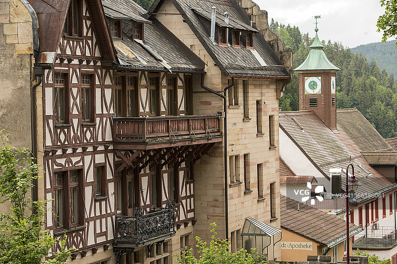 黑森林图片素材