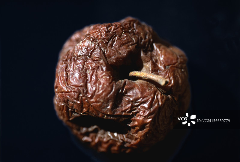 腐烂的苹果图片素材