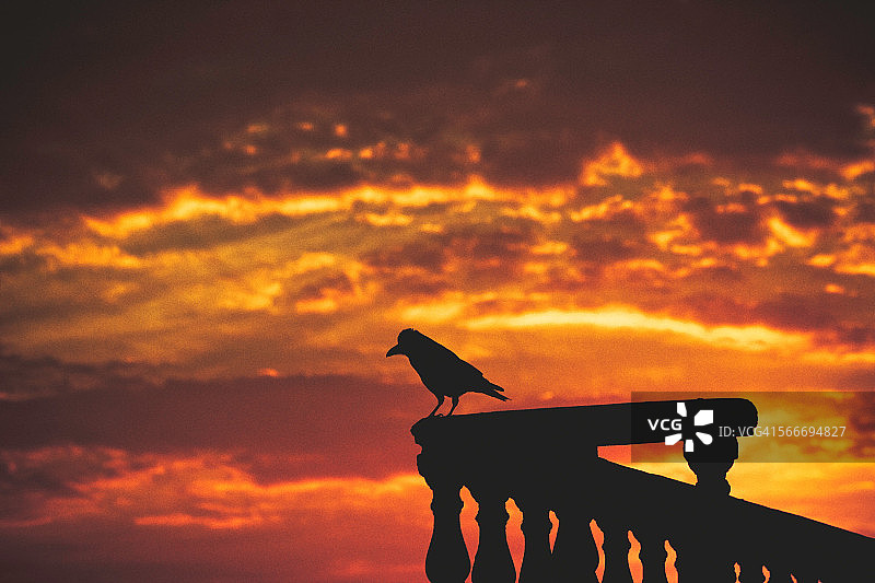 孤独摧毁意志图片素材