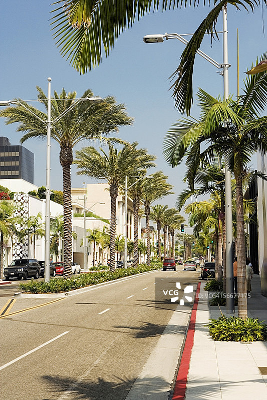 美国加利福尼亚州洛杉矶罗迪欧大道旁的棕榈树图片素材