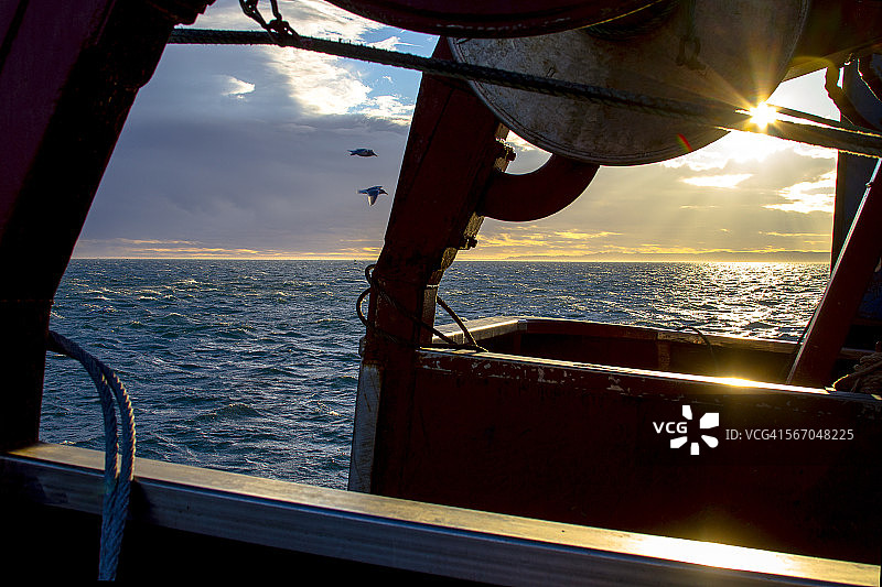 海洋伴侣图片素材