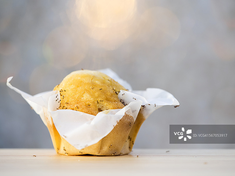 一群蚂蚁啃食海绵蛋糕图片素材