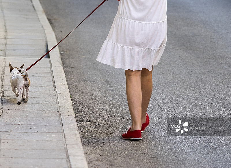 女人遛狗图片素材