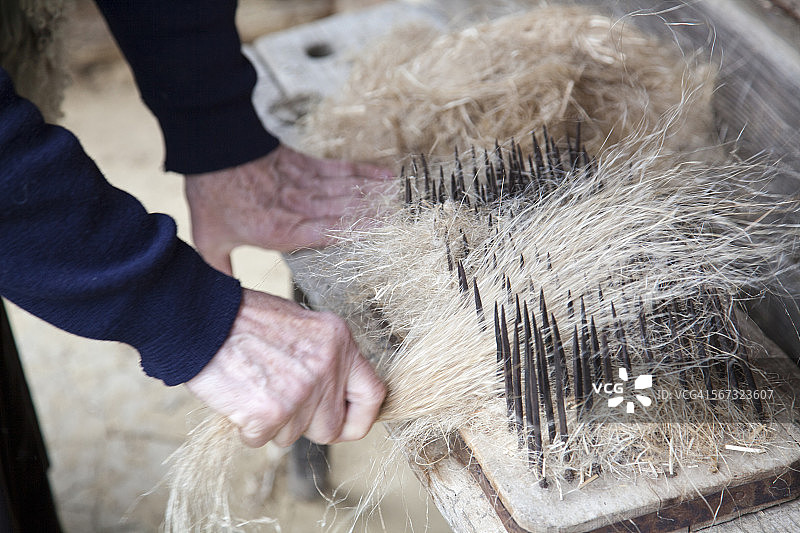 老妇人拉亚麻穿过梳子图片素材