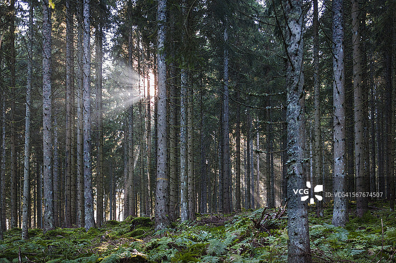 德国巴登-符腾堡州，外观图片素材