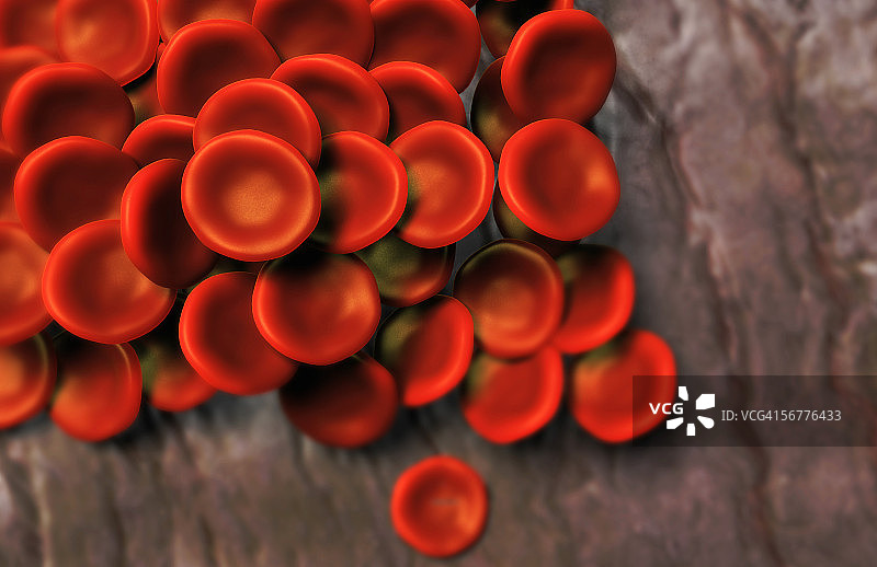 红细胞群图片素材