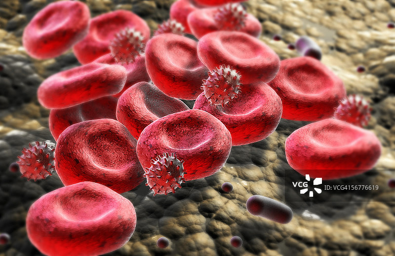 大量的红细胞和白细胞图片素材