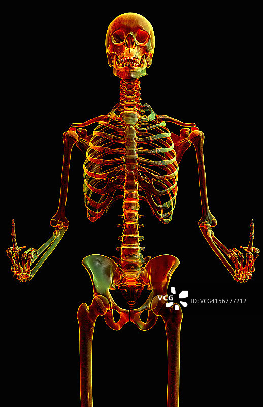 发光X光骨骼做出手势的前视图图片素材