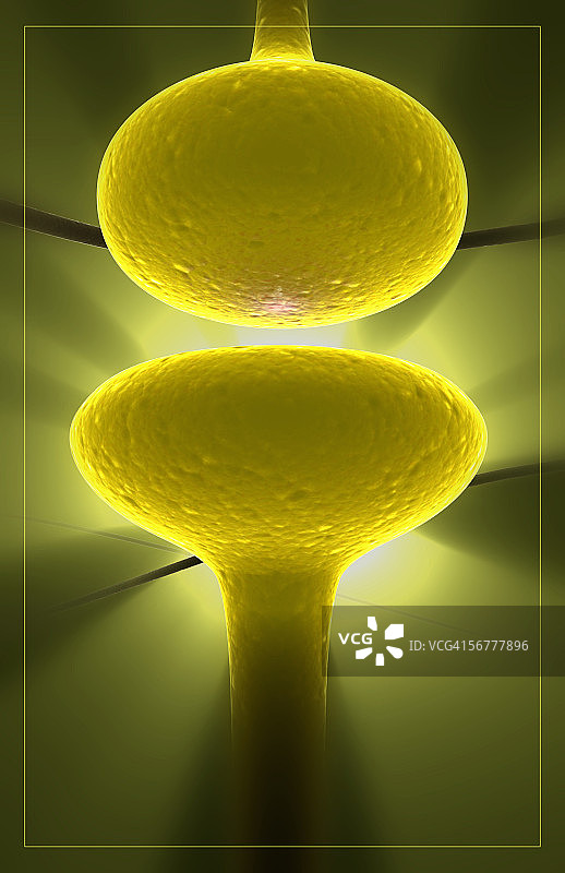 突触间隙的微观风格化视图图片素材