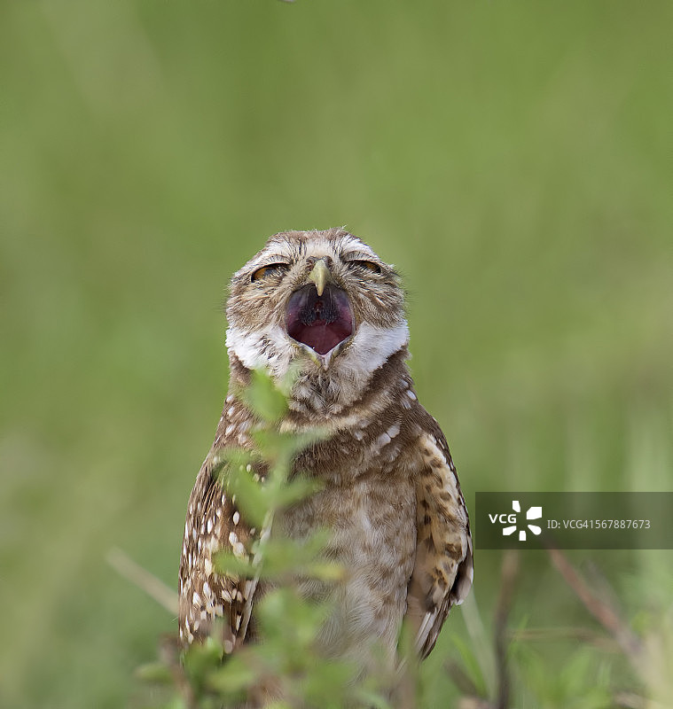 我好无聊图片素材