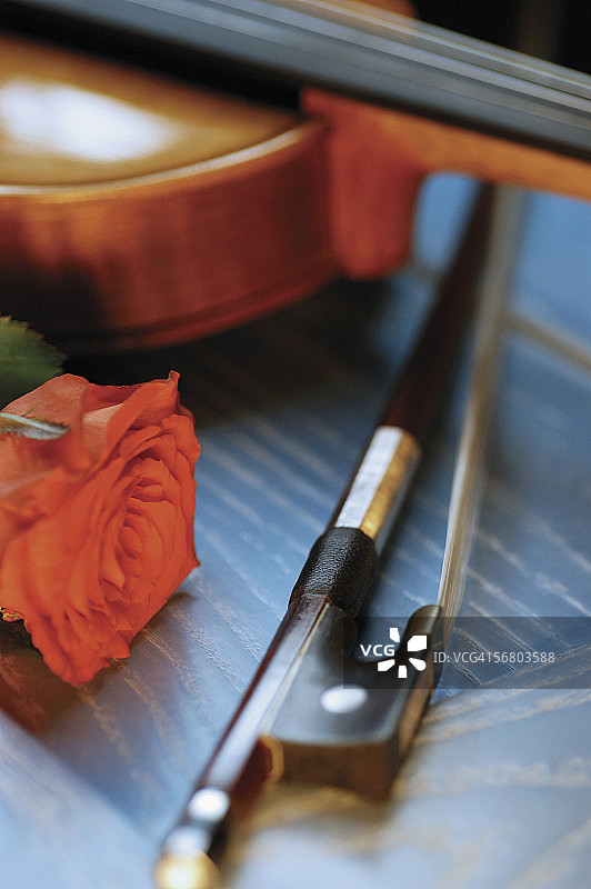 红玫瑰、小提琴、琴弓和乐谱特写图片素材
