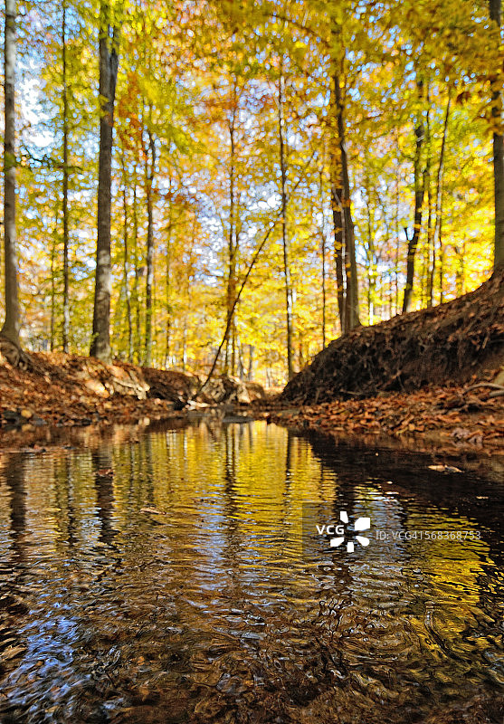 阿科廷克公园图片素材