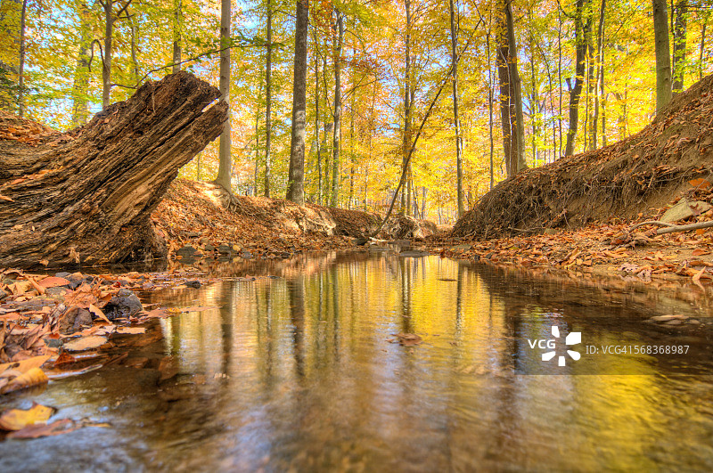 阿科廷克公园图片素材