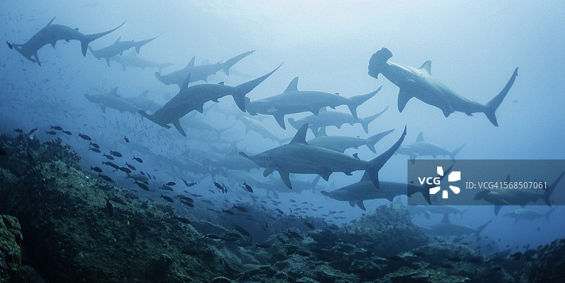 离群者图片素材