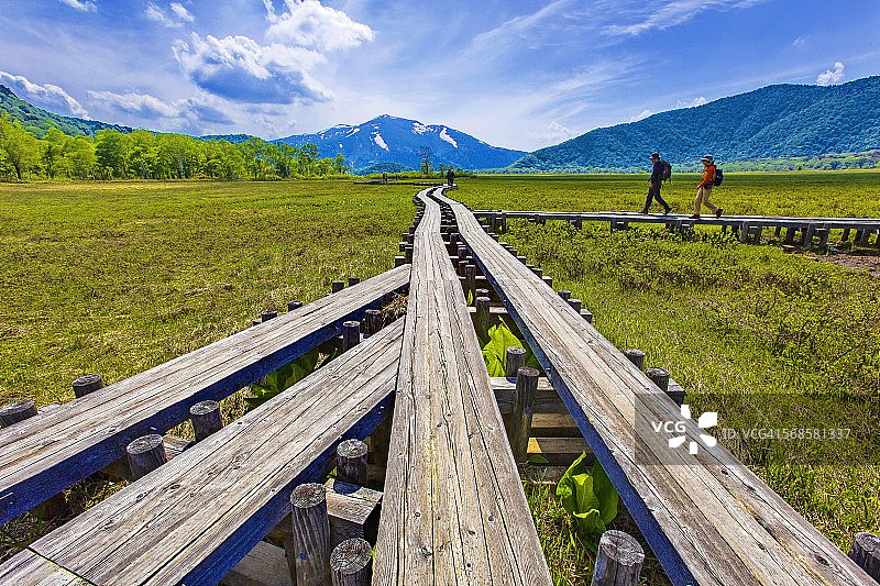 尾瀬ヶ原和至仏山林道图片素材