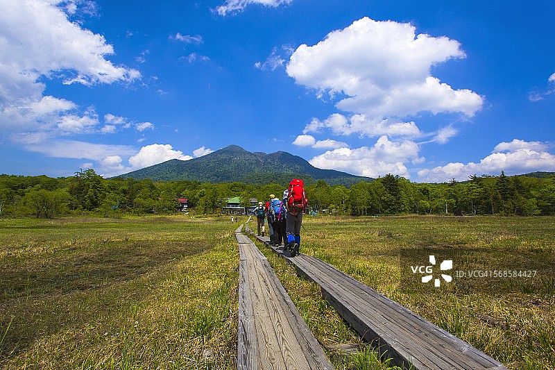 尾濑原和燧岳的树木图片素材