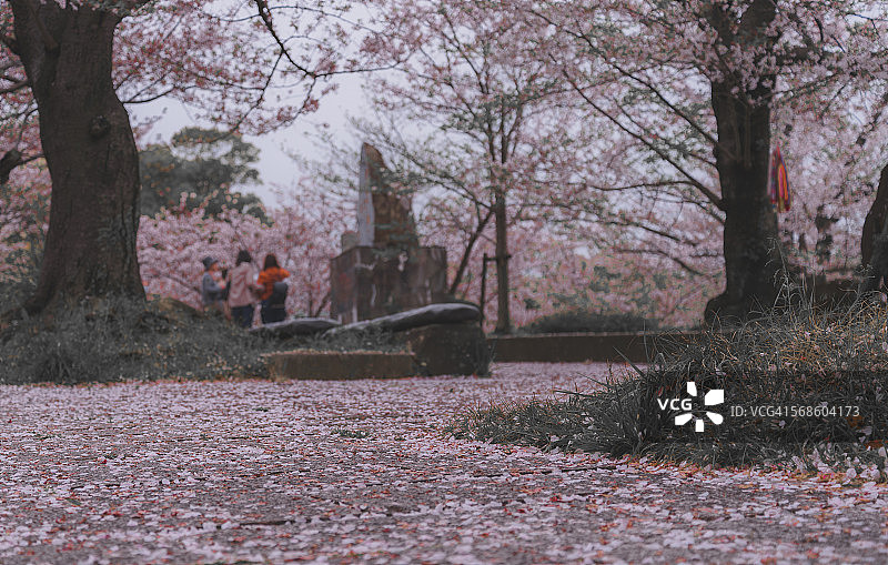 福冈公园里带有图腾的三位信徒图片素材