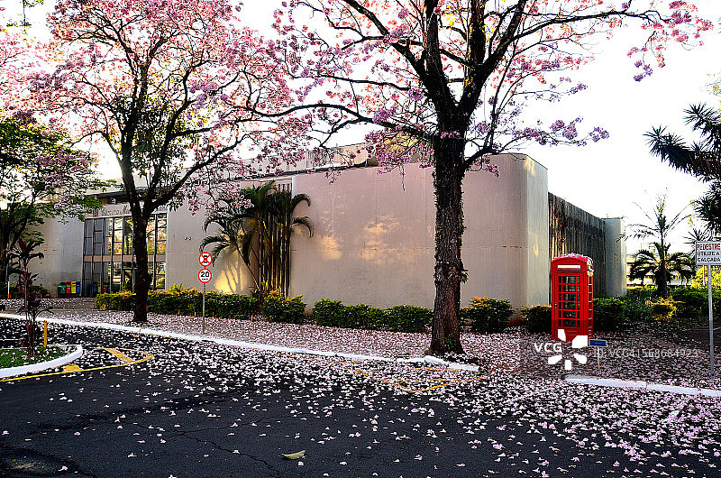 隆德里纳市议会图片素材