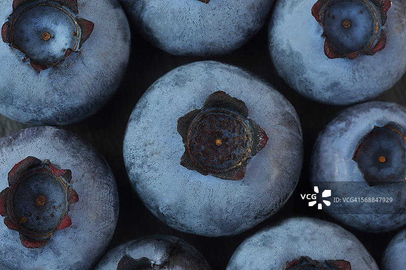 铺满画面的大蓝莓图片素材