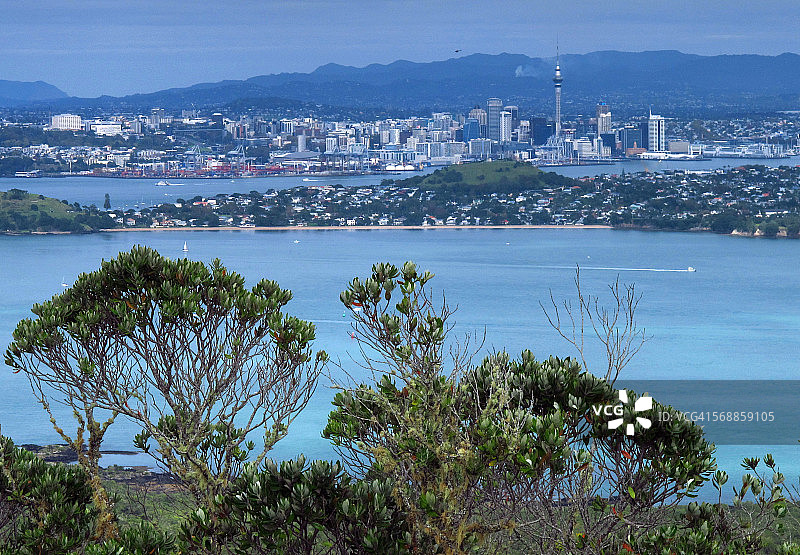 从新西兰朗伊托托岛看奥克兰天际线图片素材
