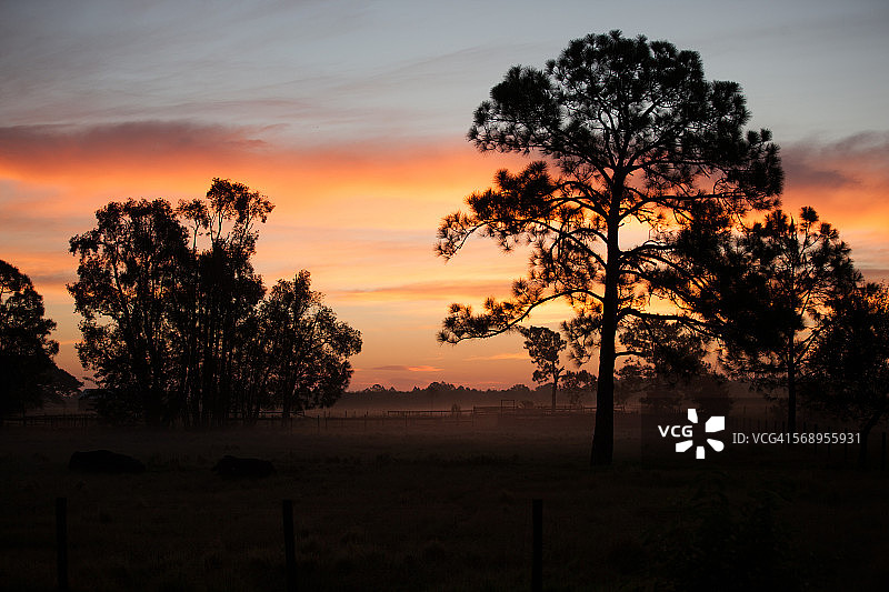 佛罗里达州乡村日出图片素材