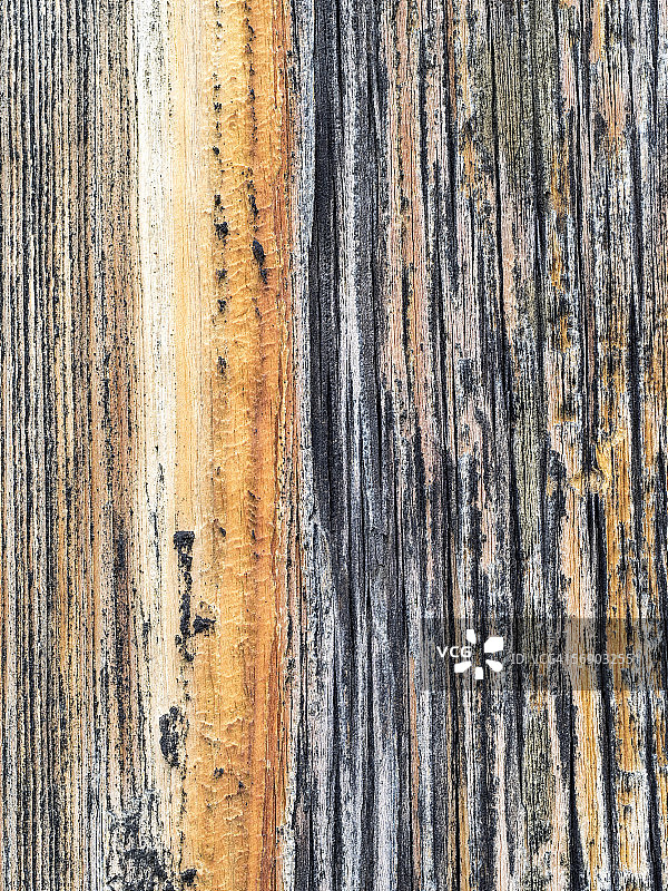 旧木头的纹理和图案图片素材