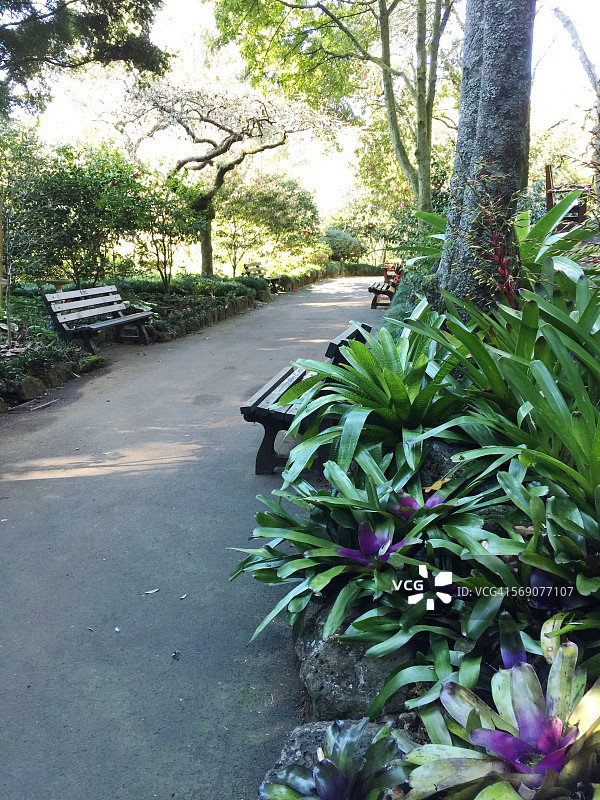 新西兰：花园保护区图片素材