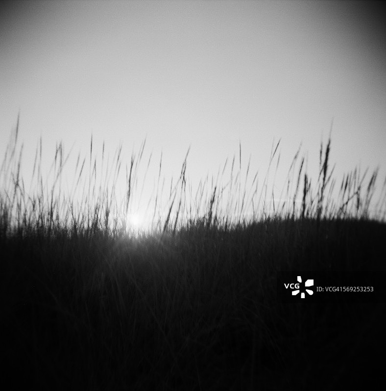 黑白沙丘日落景象图片素材