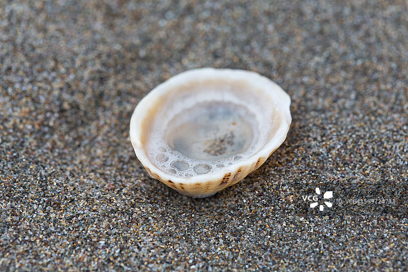 盛满海水的倒置帽贝壳图片素材