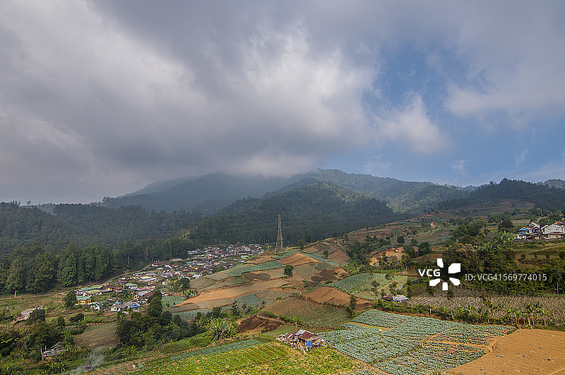 印度尼西亚的田间蔬菜图片素材