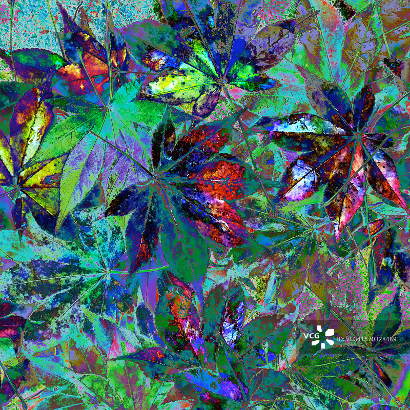 突变的性质图片素材