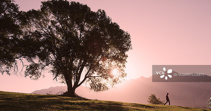 突变的性质图片素材