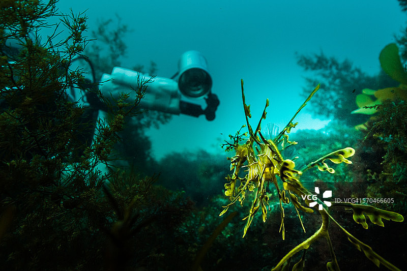与摄影师面对面的叶海龙图片素材