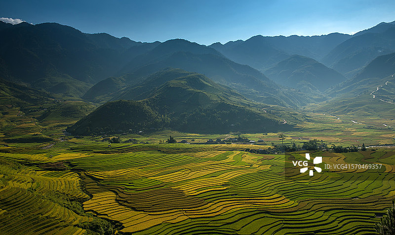 木 Cang Chai 梯田图片素材