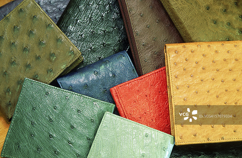 色彩鲜艳的鸵鸟皮钱包图片素材