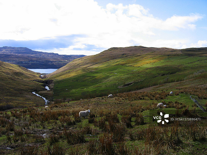 苏格兰农场山谷图片素材
