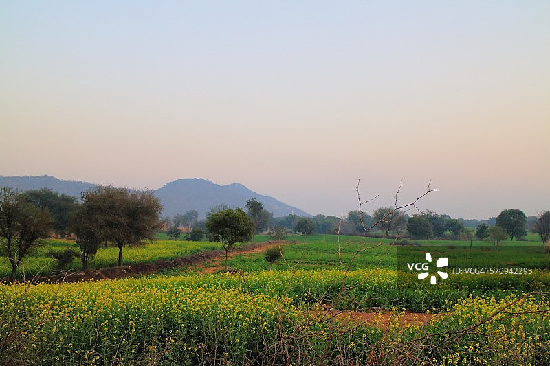 尼姆拉纳村图片素材